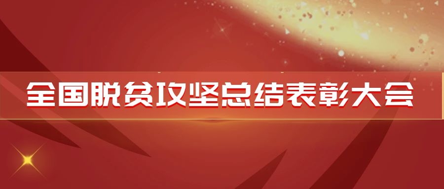 税务系统6个集体受到党中央、国务院表彰！来看看他们的先进事迹